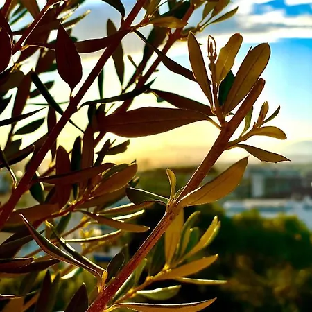 Appartement Rooftop - Quartier Croisette *